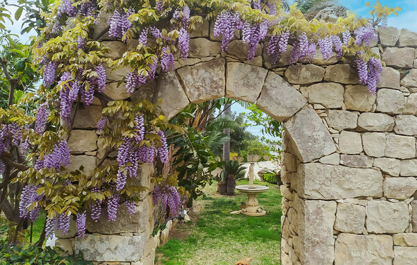 Holiday Home - Cava D'aliga , Italy - ISR949 103