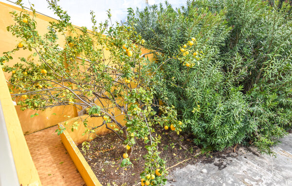 Domy wakacyjne - Modica , Wlochy - ISR956 101