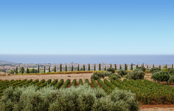 Casa vacanze - Menfi , Italia - ISR960 201