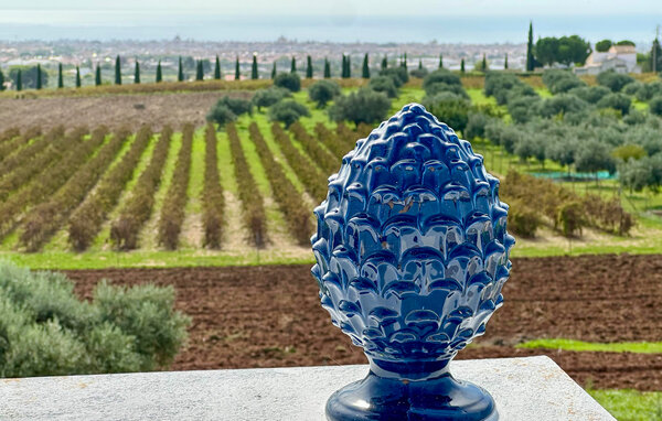 Casa vacanze - Menfi , Italia - ISR960 202