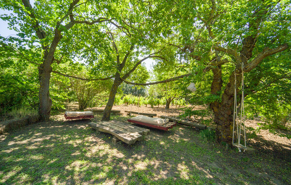 Location de vacances - Alia , Italie - ISS325 809