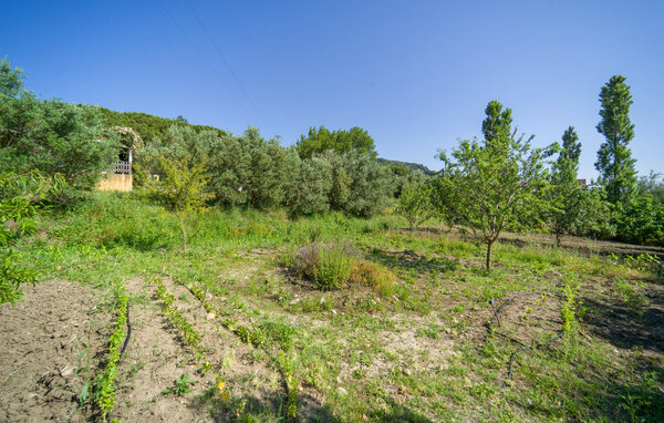 Location de vacances - Alia , Italie - ISS325 815