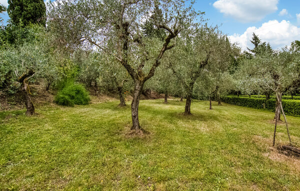 Holiday Home - Monte San Savino , Italy - ITA013 9