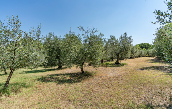 Domy wakacyjne - Monte San Savino , Wlochy - ITA057 101