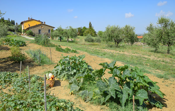 Location de vacances - Cortona , Italie - ITA514 801