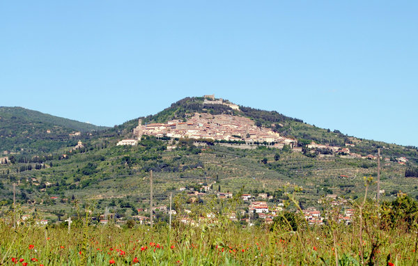 Location de vacances - Cortona , Italie - ITA514 901