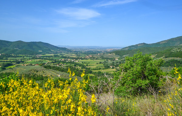 Casa vacanze - Castiglion Fiorentino , Italia - ITA587 8