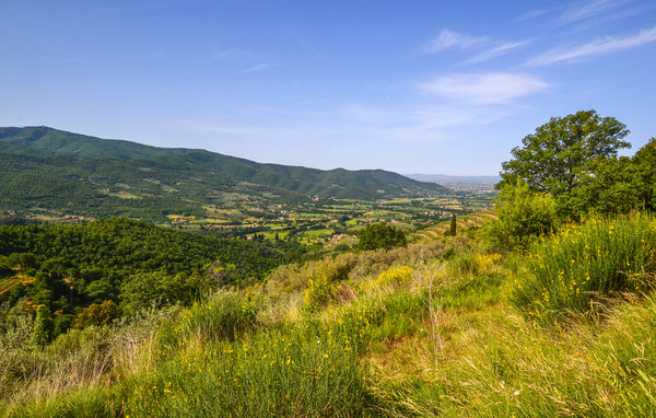 Casa vacanze - Castiglion Fiorentino , Italia - ITA587 901