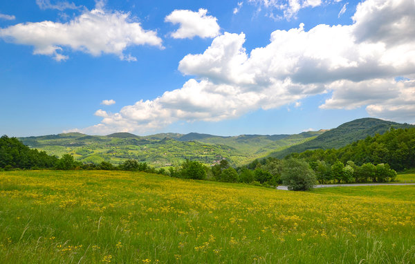 Domy wakacyjne - Badia Tedalda , Wlochy - ITA591 6