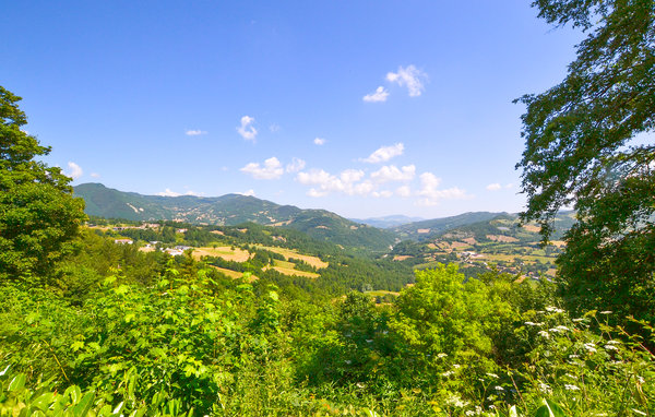 Domy wakacyjne - Badia Tedalda , Wlochy - ITA591 901