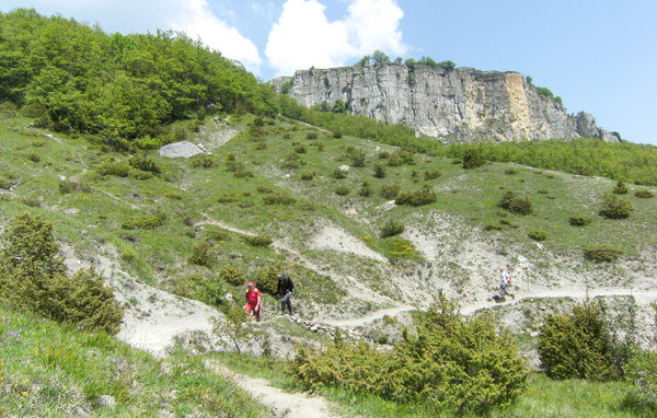 Domy wakacyjne - Badia Tedalda , Wlochy - ITA591 902