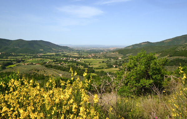 Domy wakacyjne - Castiglion Fiorentino , Wlochy - ITA864 906