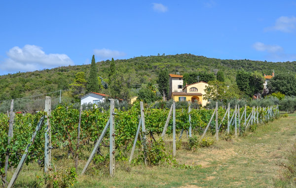 Ferienhaus - Castiglion Fiorentino , Italien - ITA865 6