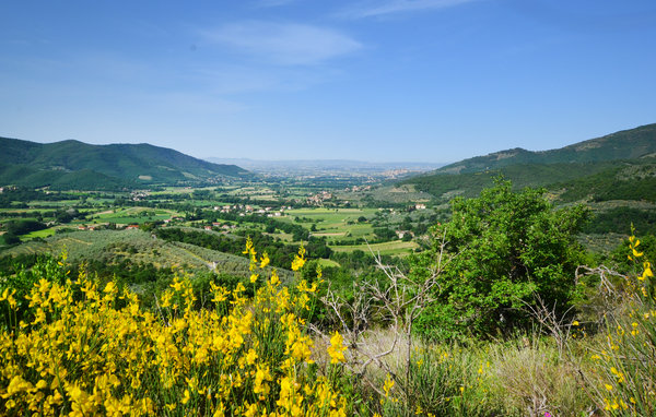 Domy wakacyjne - Castiglion Fiorentino , Wlochy - ITA989 201