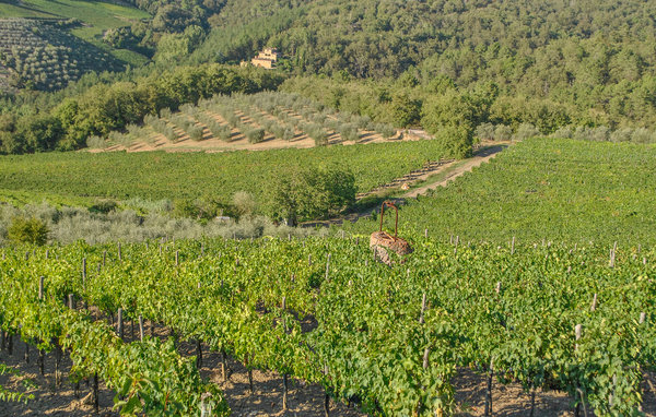 Apartament - San Casciano Val di Pesa , Wlochy - ITC001 902