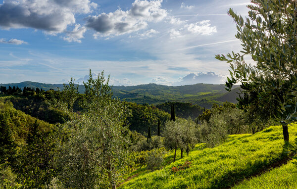 Semesterhus - Greve in Chianti , Italien - ITC002 201