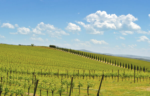 Ferienhaus - Greve in Chianti , Italien - ITC009 9