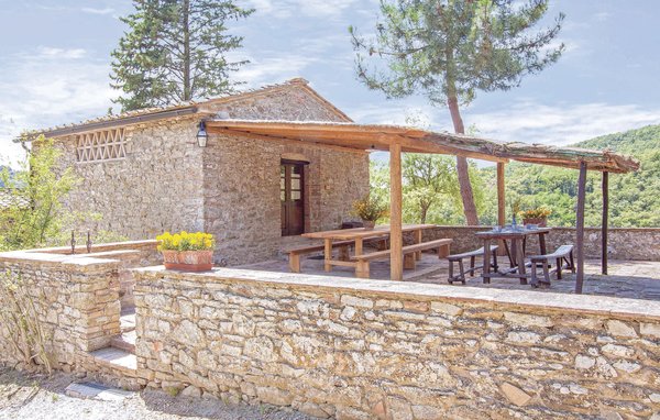 Domy wakacyjne - Gaiole in Chianti , Wlochy - ITC270 101