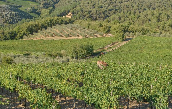 Domy wakacyjne - Tavarnelle Val di Pesa , Wlochy - ITC363 901