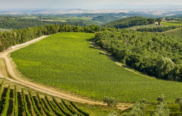 Domy wakacyjne - Greve in  Chianti , Wlochy - ITC369 901