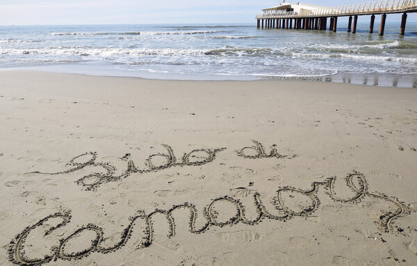 Feriehuse - Camaiore , Italien - ITD026 901