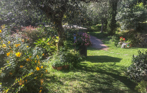 Feriehuse - Camaiore , Italien - ITD026 102