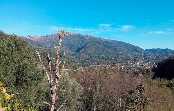 Domy wakacyjne - Camaiore , Wlochy - ITD027 201