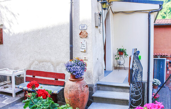 Ferienhaus - Camaiore , Italien - ITD040 101