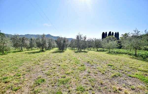 Semesterhus - Camaiore , Italien - ITD049 7