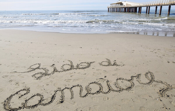 Apartament - Forte dei Marmi , Wlochy - ITD056 901