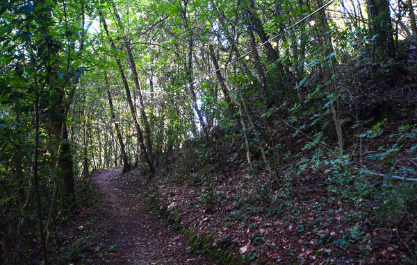 Casa de vacaciones - Camaiore , Italia - ITD057 105