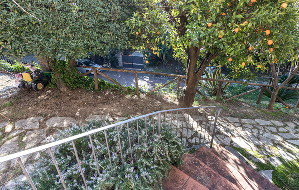 Domy wakacyjne - Massarosa , Wlochy - ITD061 101