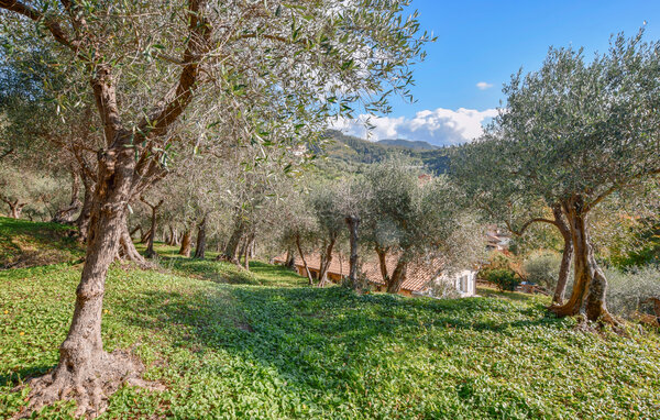 Vakantiehuis - Massarosa , Italië - ITD062 7