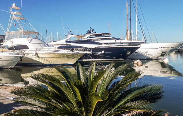 Ferienwohnung - Viareggio , Italien - ITD069 904