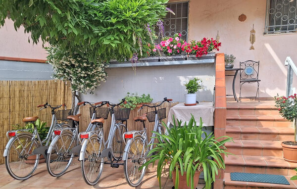 Ferienwohnung - Marina di Massa , Italien - ITD074 8