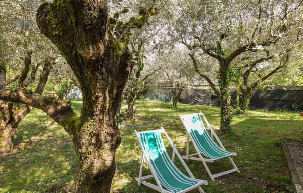 Semesterhus - Camaiore , Italien - ITD075 102