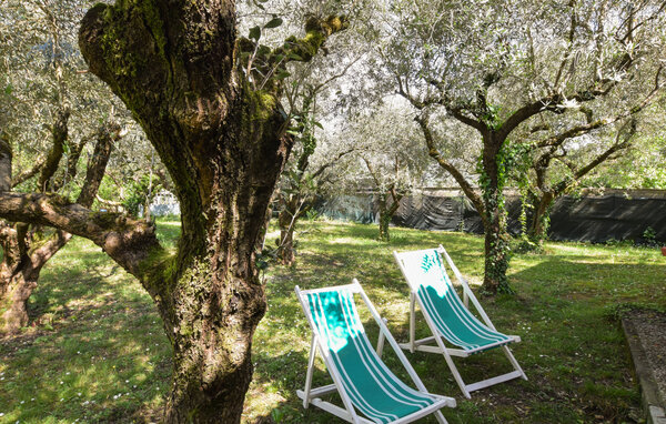 Semesterhus - Camaiore , Italien - ITD075 103