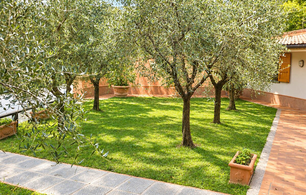 Feriehus - Camaiore , Italia - ITD090 101
