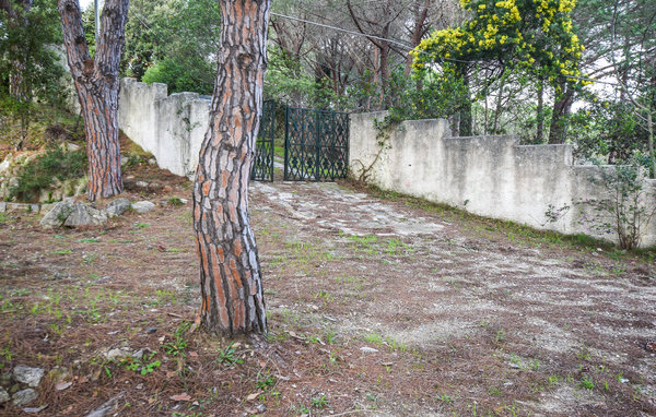 Domy wakacyjne - San Piero in Campo , Wlochy - ITE178 104