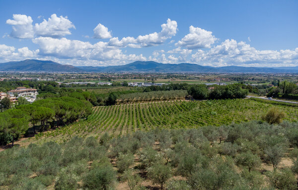 Domy wakacyjne - Comeana , Wlochy - ITF095 803