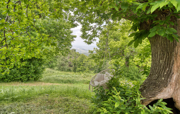Casa vacanze - Monte Amiata - Stribugliano , Italia - ITG016 7