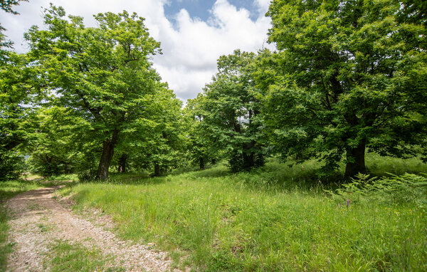 Casa vacanze - Monte Amiata - Stribugliano , Italia - ITG016 802