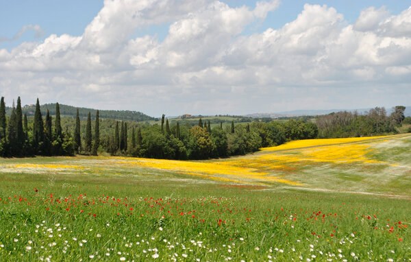 Appartamento - Arcidosso , Italia - ITG022 902