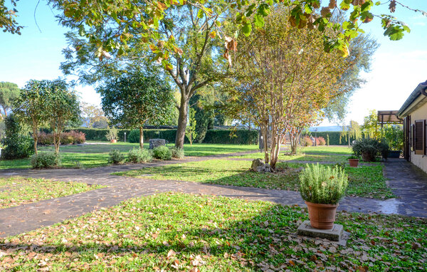 Ferienhaus - Grosseto , Italien - ITG026 6