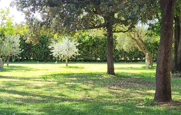 Casa vacanze - Grosseto , Italia - ITG026 15