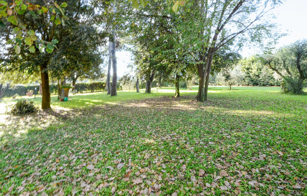 Casa vacanze - Grosseto , Italia - ITG027 6