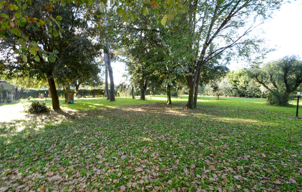 Ferienhaus - Grosseto , Italien - ITG029 15