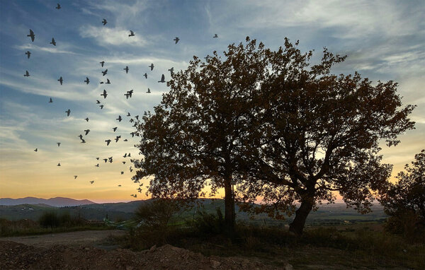 Domy wakacyjne - Grosseto , Wlochy - ITG030 801