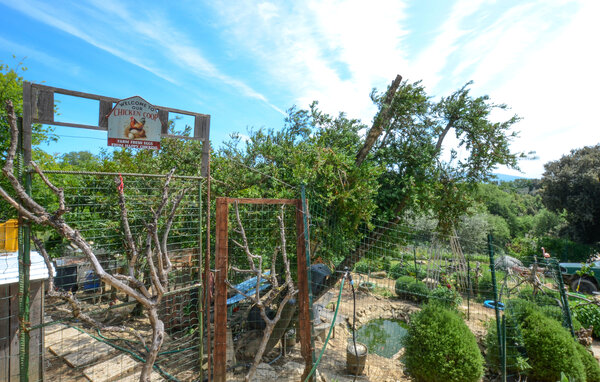 Ferienwohnung - Cinigiano , Italien - ITG040 801