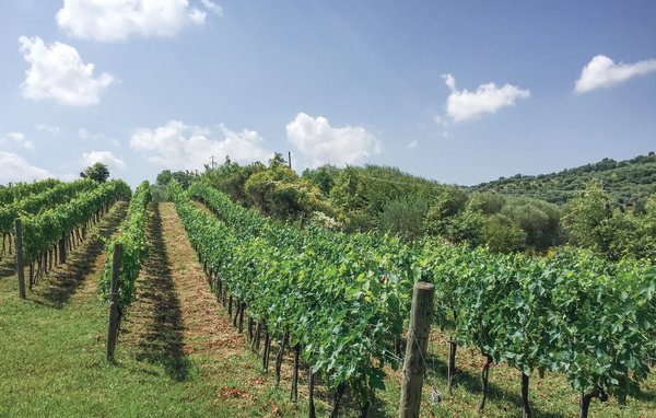 Casa di vacanze Pietratonda 9